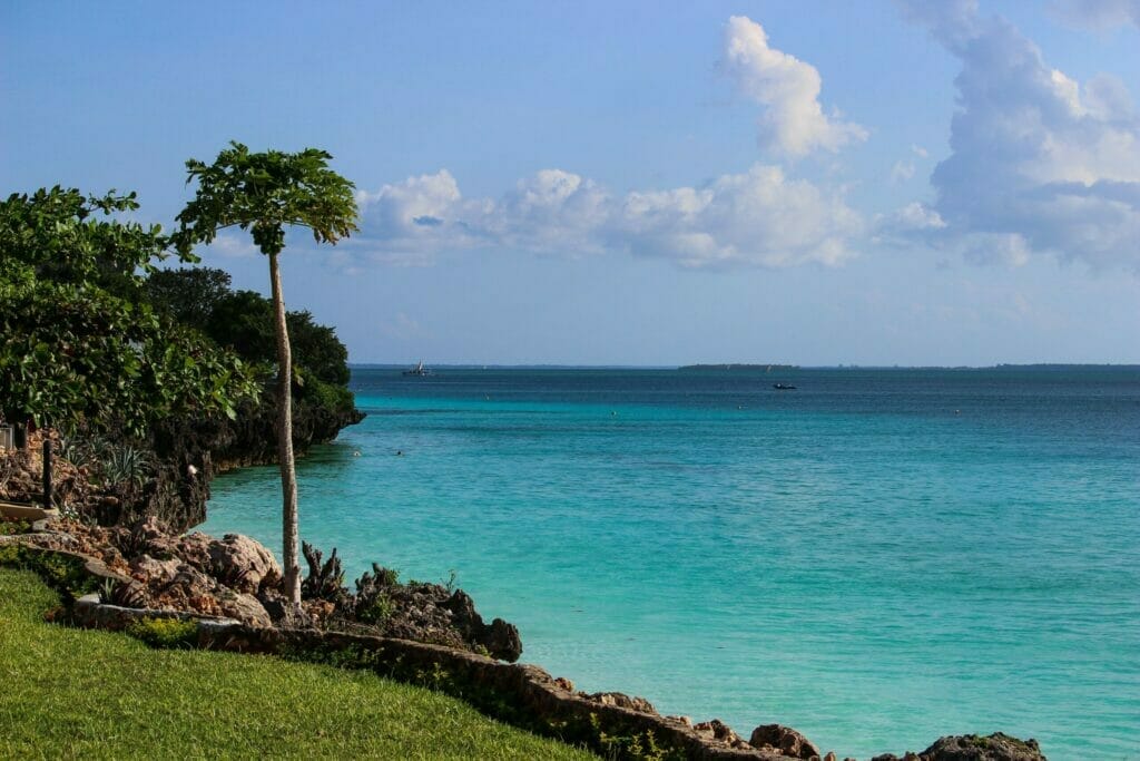 Dieses Bild zeigt den Ausblick auf ein ruhiges türkises Meer von einem grünen und von Bäumen gesäumten Ufer.