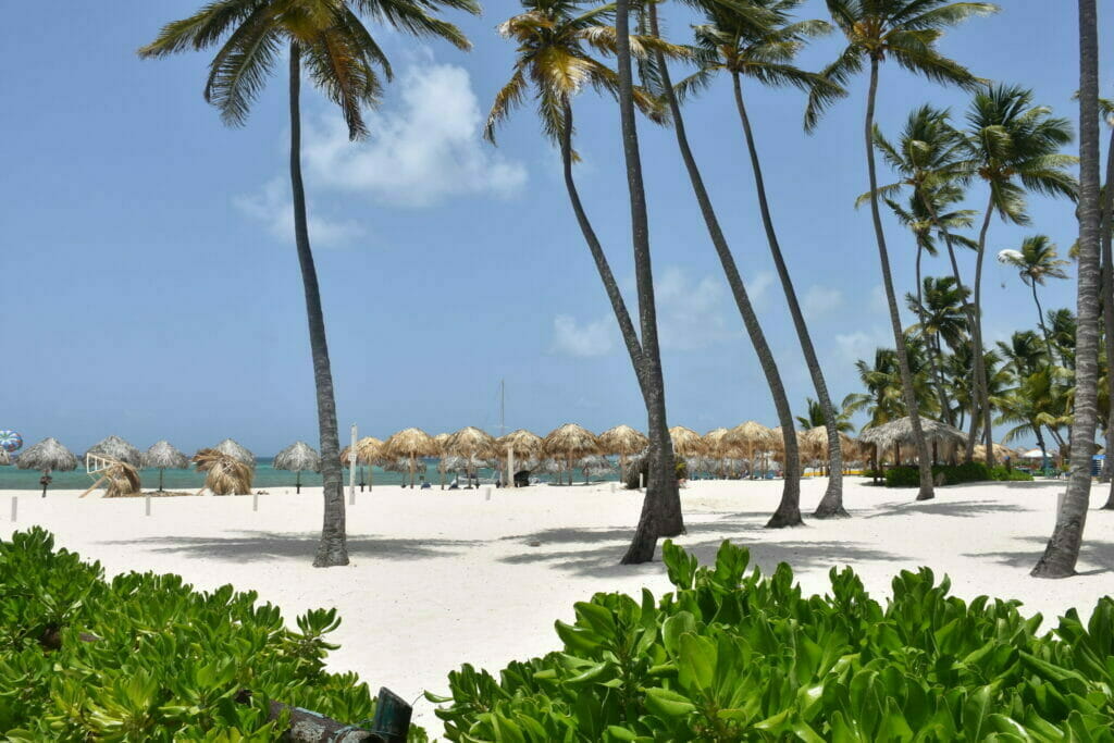 Das Bild zeigt einen weißen Sandstrand, Palmen und Strandschirme aus hellbraunem Pflanzenmaterial. Die Sonne scheint.